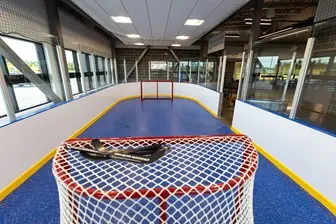 mini stick arena