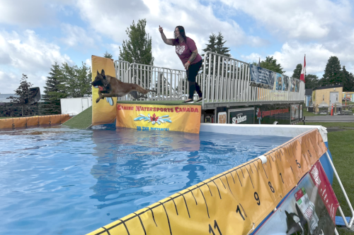 dock-diving.png